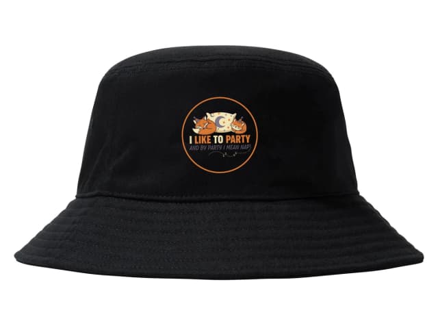 Fox Party Hat Cat Nap Sleep az új buli a párnaimádóknak