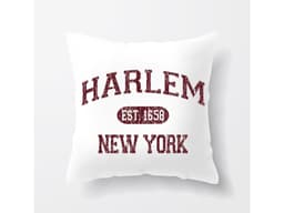 14616_Pol_t___Harlem_New_York_MAIN