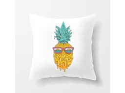 14109_Pol_t___Ananas_l_to_MAIN