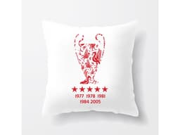 5099_Pol_t___Liverpool_FC___V_t_zov__Ligy_mistr__MAIN