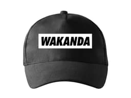 43675_K_iltovka_Wakanda_MAIN