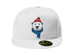 32369_Snapback_Ledn__medv_d_zima_MAIN